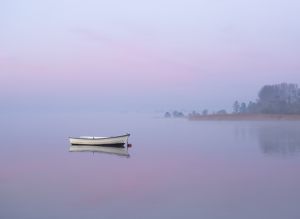 16070_Fotograf_Jens  Jakobsson_Purple morning_